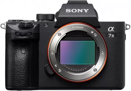 Sony Alpha ILCE-7 III (ILCE7M3) - Foto Erhardt