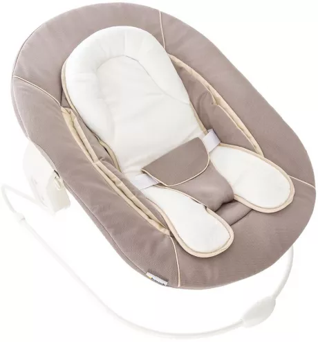 Hauck / Bouncer 2 in 1