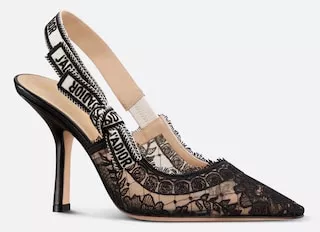 J'Adior Slingback Pump Black Transparent Mesh Embroidered with Dior Roses Motif | DIOR