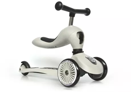 Scoot and Ride 2-in-1 Highwaykick Ash | Kaufland.de