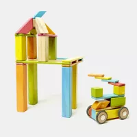 Magnetische Holzbausteine von Tegu im 42er Set, Bunt | Echtkind