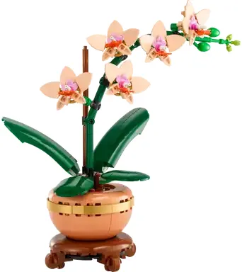 Mini-Orchidee 10343 | The Botanical Collection | Offizieller LEGO® Shop DE