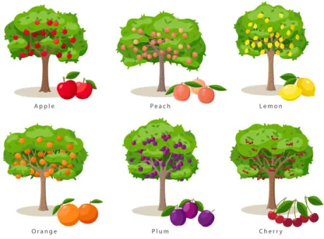 Obstbaum