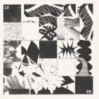 LIIEK - s/t LP | LP
