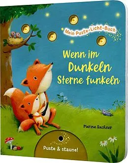 Mein Puste-Licht-Buch: Wenn im Dunkeln Sterne funkeln von Christina Nömer: Buch kaufen | Ex Libris